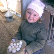 Dcera Kačenka při podzimním úklidu v holubníku